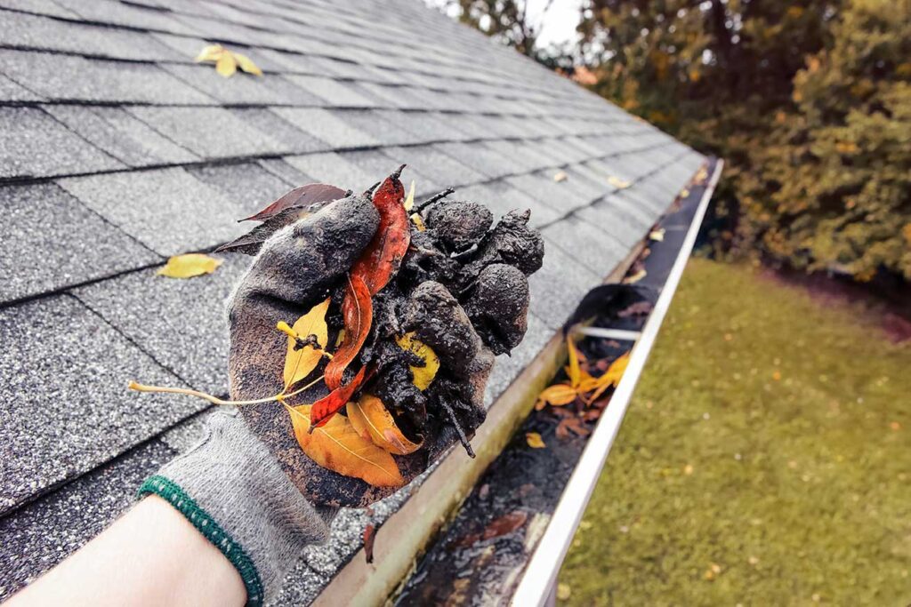 Done Right Gutter Cleaning